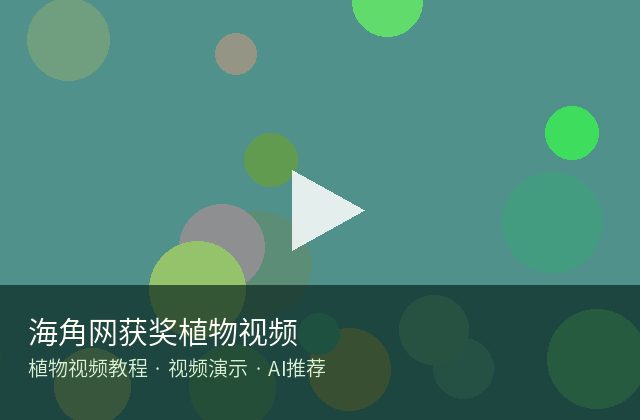 蜜桃传媒