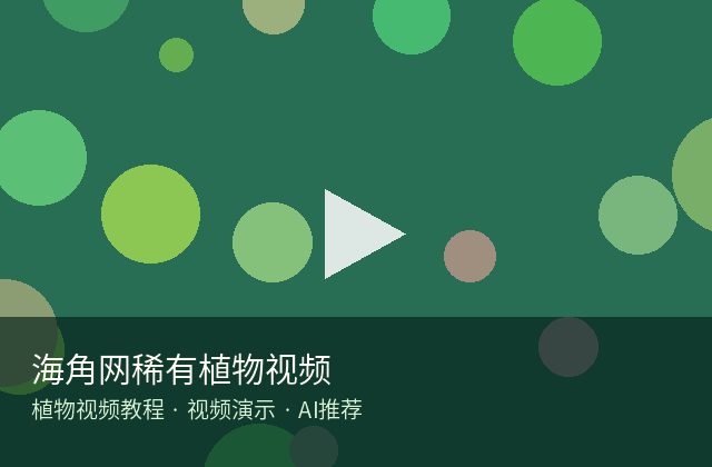蜜桃传媒